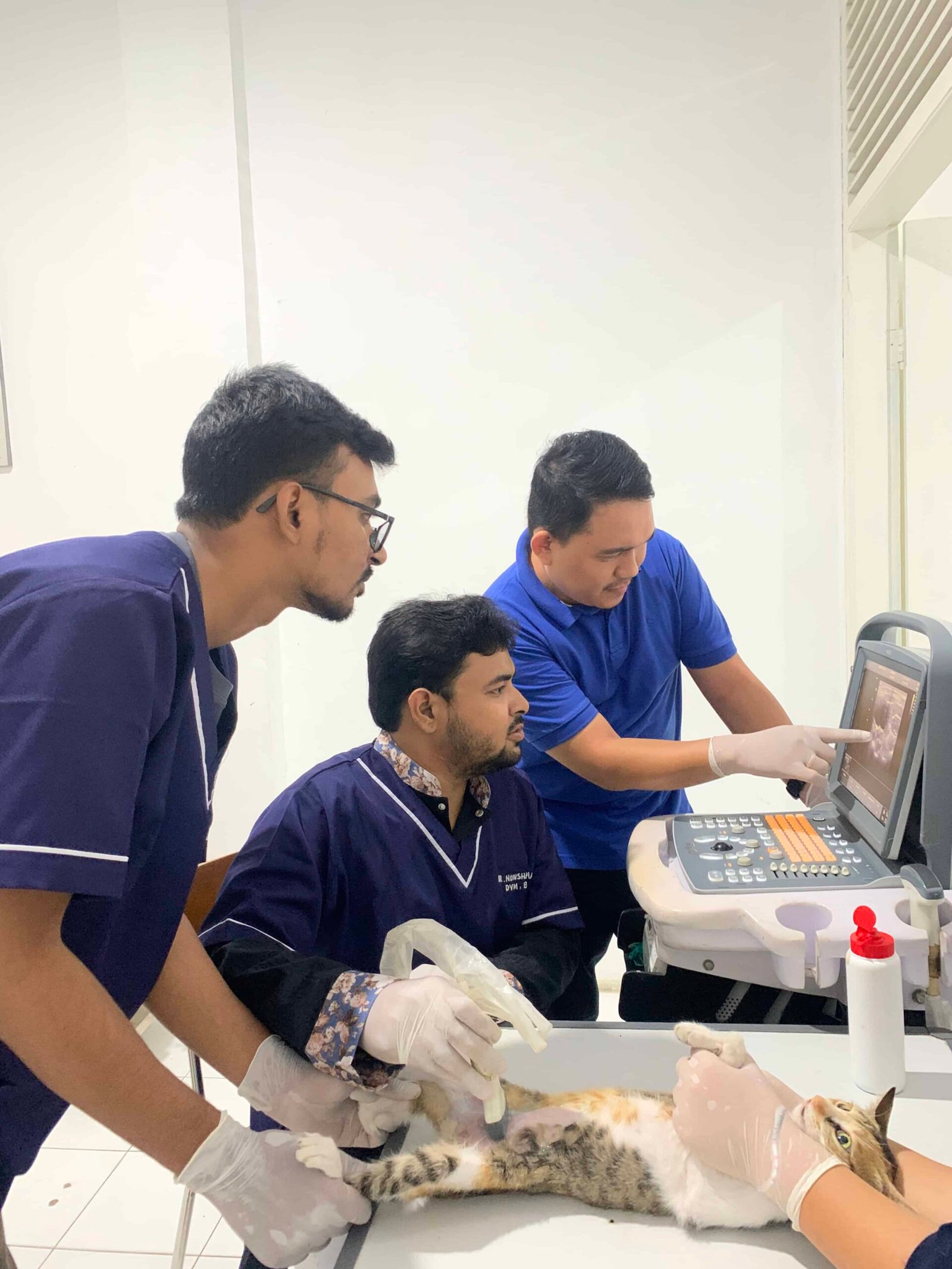 Veterinary team with pets