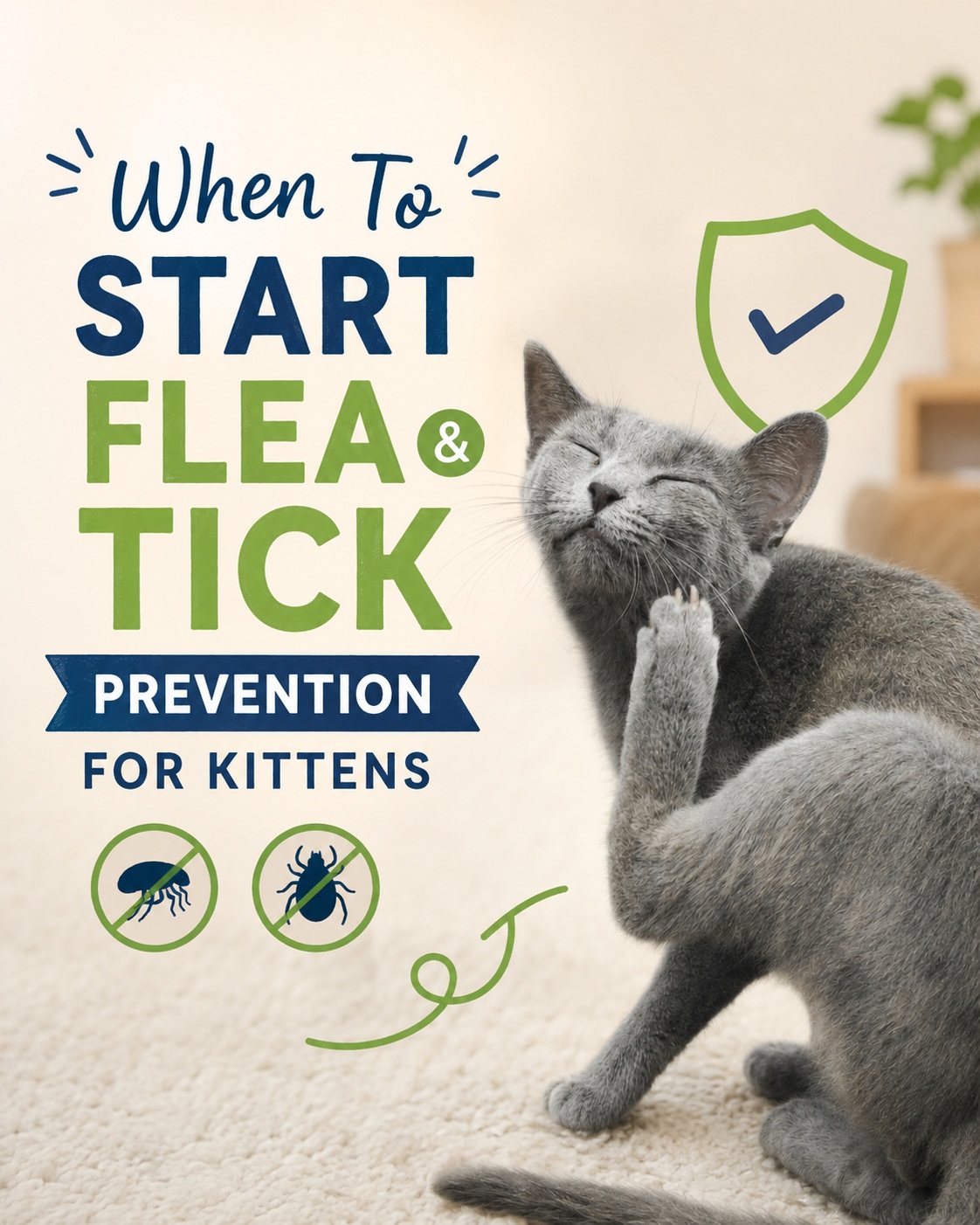 When To Start Flea and Tick Prevention for Kittens